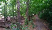 Trail Walking Villedômer - Villedômer - Le sentier des Bois - 22.4km 265m 5h05 (25mn) - 2019 08 10 - Photo 4