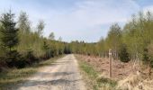 Trail Walking Aywaille - ninglinspo . chefna . fond de quareux  - Photo 12