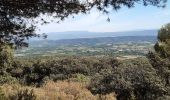 Tour Wandern Cucuron - Cucuron Vaugines - Rocher de Curet - Photo 1