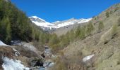 Randonnée Marche Champoléon - 20190514_Les Fermonds_Refuge du Tourond_Les Bouquetins - Photo 13