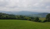 Randonnée Cyclotourisme Saint-Pé-de-Bigorre - St-Pé-de-Bigorre - Oloron - Photo 13