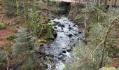 Trail Walking Le Tholy - Les 2 cascades du Tendon (grand tour) - Photo 11