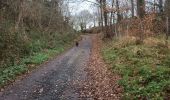 Trail Walking Glabbeek - Bunsbeek - Photo 14