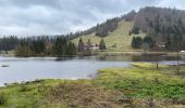 Randonnée Marche La Bresse - Lispach - Photo 2