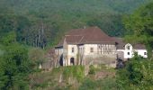 Tour Zu Fuß Beverungen - Weserhöhen-Wanderung 