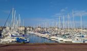 Randonnée Marche Saint-Vaast-la-Hougue - St Vaast la Hougue tourisme - Photo 1