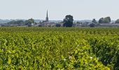 Tocht Stappen Saint-Laurent-Médoc - autour de Pauillac  - Photo 3