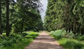 Trail Walking Spa - A la découverte de la Fagne de Malchamps 🥾 - Photo 5