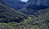 Randonnée Marche Le Garn - Gorges de l'Ardèche  - Photo 14
