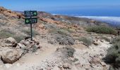 Tocht Stappen La Orotava - Canaries - Tenerife  - Ascension du Guajara - Photo 1