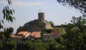 Tocht Stappen Laroque-des-Albères - La Roque des Alberes, randonnée et botanique - Photo 12