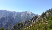 Randonnée Marche Corte - Tour d'Alzu - Photo 1