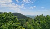 Randonnée Marche Oberhaslach - Hohenstein, Petit et Grand Ringelstein - Photo 18