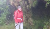 Tour Wandern Ribeira Seca - 20231406acores - Photo 3