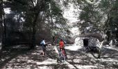 Trail Mountain bike Calès - cales roca alzou - Photo 2