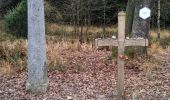 Randonnée Marche Jalhay - Hoëgne-Polleur-Statte-Dolmen - Photo 6