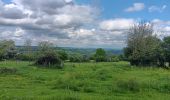 Randonnée Marche Theux - lareid . vertbuisson . haut marais . fraineux . la reid  - Photo 16