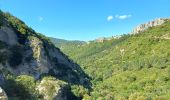 Tour Wandern Gémenos - Parc de St Pons anc. Glacière - Photo 9