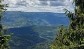 Randonnée Marche Walscheid - Elsassblick Baraque Carrée - Photo 4