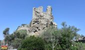 Excursión Senderismo Ollioules -  Les Grottes  St Martin  - Photo 2