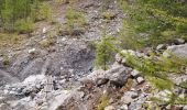 Tour Wandern Uvernet-Fours - Cabane de la petite Saume. 27/09/20 - Photo 5