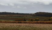 Randonnée Marche Dury - balade de la belle épine  - Photo 6