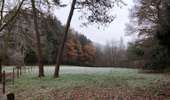 Trail Walking Lierneux - Promenade de Trou de Bra   - Photo 10