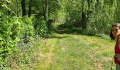 Percorso Marcia Queuille - 2025-05-01 Reco-La sioule - Photo 18