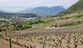 Excursión Marcha nórdica Chignin - Chignin - Arbin à travers les vignes et coteaux - Photo 8