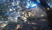 Tour Wandern Les Mées - DABICE Chapelle S Honorat , Jas des Aires , Jas des Dourbes  , Chateau au Levin , la Baume , o n - Photo 5