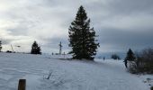 Tour Wandern Neuweiler - nateviller, champ du feu  - Photo 1