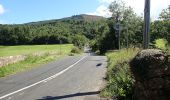 Tocht Te voet The Municipal District of Dundalk - Carlingford - Walk 4 - Ravensdale Loop - Photo 5