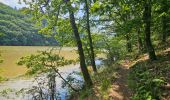 Tour Wandern Bauschleiden - 2023-06-19_14h57m44_eislek-pad-boulaide-1 - Photo 14