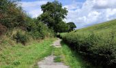 Tocht Stappen Pepinster - La promenade de Tribomont  - Photo 6