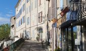 Trail Walking Forcalquier - 20190513. Tour de Forcalquier à pied.  - Photo 9