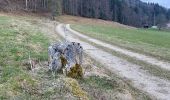 Randonnée A pied Val-de-Travers - Ferme du Soliat - La Banderette - Photo 4