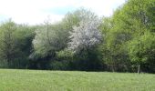 Randonnée Marche Varennes-Vauzelles - la bleue nifond boucle - Photo 7