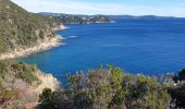 Tocht Trail Cavalaire-sur-Mer - cavalaire, corniche des maures  - Photo 4