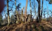 Trail Walking Fontainebleau - viennes carosses - Photo 4