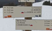 Percorso Racchette da neve La Pesse - L'Ambossieux-La Borne au Lion AR - Photo 1