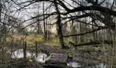 Excursión Senderismo Wellen - La réserve naturelle Broekbeemd à Wellen - Photo 1