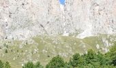 Trail On foot Sëlva - Wolkenstein - Selva di Val Gardena - IT-3 - Photo 8