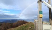 Trail Walking La Chapelle-en-Vercors - Serre Plumé  - Photo 13