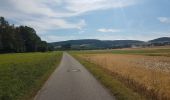 Tour Zu Fuß Werbach - Liebliches Taubertal – Rundwanderweg 7 – Muschelkalk und Orchideen - Photo 7