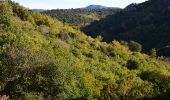 Tour Wandern Le Plan-de-la-Tour - Plan de la Tour - Piste de colle Dure - Col de Vignon - Photo 2