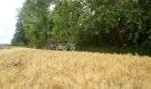 Randonnée Marche Freneuse - 20220630-Freneuse - Photo 13