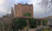 Trail Walking Theux - st roch . wayai . ru chawion . chêne de la vierge . chêne de polleur . hoegne .  sasserotte . château de franchimont  - Photo 2