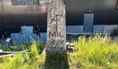 Tocht Te voet Onbekend - Pilgrimsleden: Nylöse - Rannebergen - Photo 7