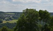 Tour Wandern Pepinster - 20230612 - Cornesse 5.9 Km - Photo 10