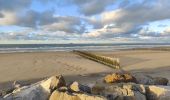 Randonnée Autre activité Sangatte - Ballade le long de la plage de Sangatte  - Photo 8